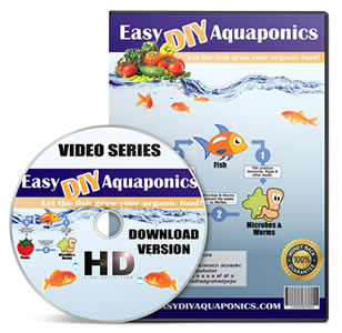 Easy Diy Aquaponics Review - Is Easy Diy Aquaponics a Scam or Not ?